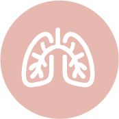 Lung health icon