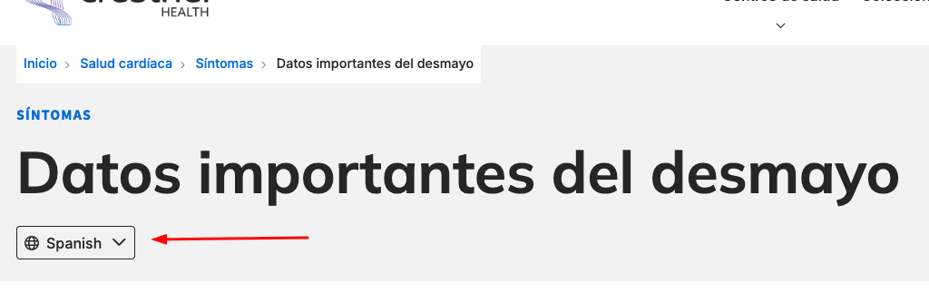 Spanish toggle on articles
